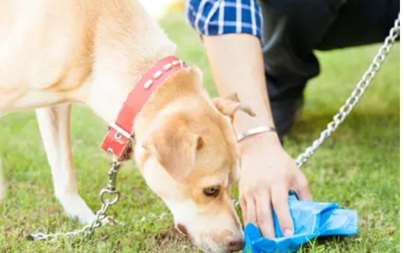 pet waste station