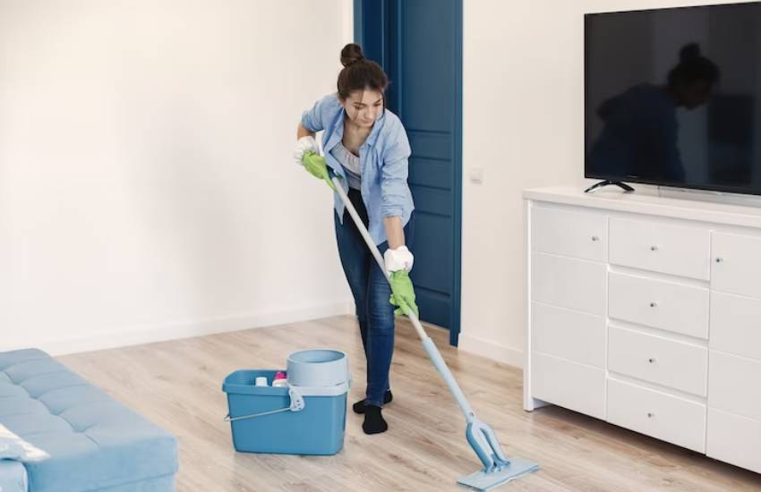 house cleaner service