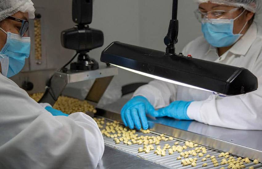 supplement manufacturer