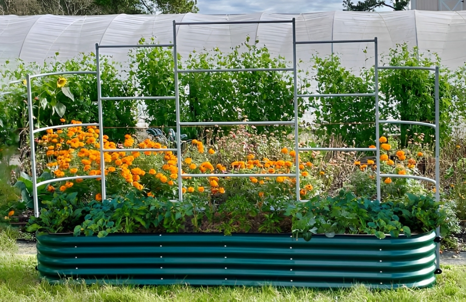 raised garden bed kit