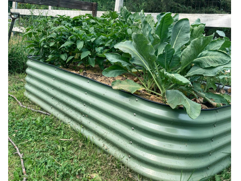 raised beds for sale